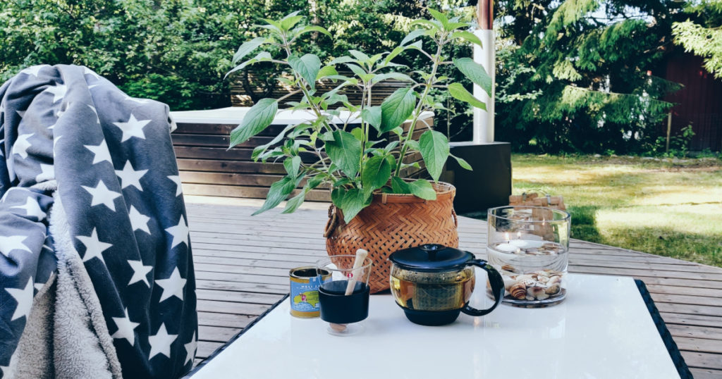 Hurmaava yrttituttavuus – ananassalvia